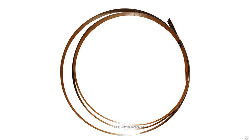 ����� ��������� ��������� ������ 2450.400.031