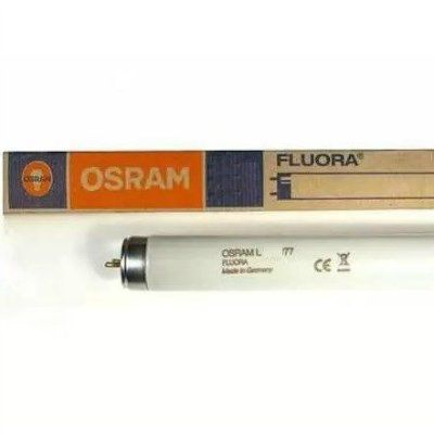 ����� �������������� L30/77 FLUORA G13 d26x895�� ��� ��������� ��������� � ���������� OSRAM