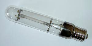 ����� ����