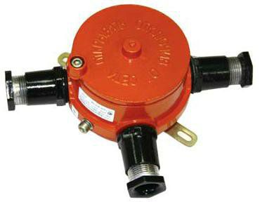 ������� ���������������� ��-�-100� ������� Wago 5-4, � 2-�� ���������� �������, � 2-�� ��������, 2Ex�IICT6, IP65