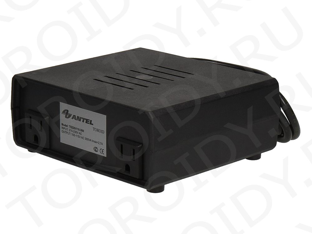 ������������� Toroid TS220/110-300