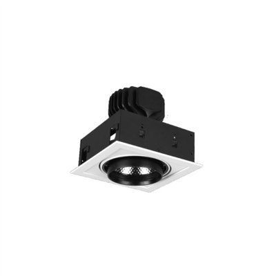 PS-PublicModTLD-1/1 10W