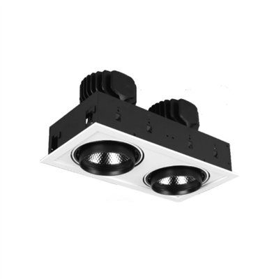 PS-PublicModTLD-1/2 2*10W