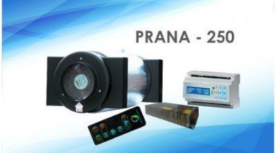 ����������� ����� 250