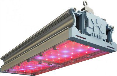 ���������� TL-PROM FITO 90 UN