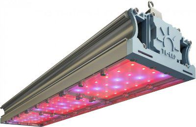 ���������� TL-PROM FITO 135 UN