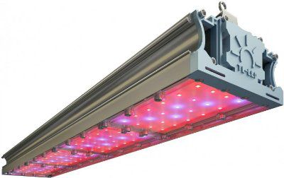 ���������� TL-PROM FITO 180 UN