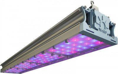 ���������� TL-PROM FITO 150 VR