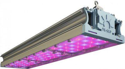 ���������� TL-PROM FITO 159 RS