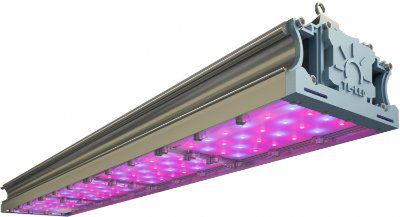 ���������� TL-PROM FITO 212 RS