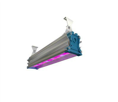 ������������ ���� ���������� 42 �� ��� ��������