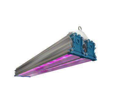 ������������ ���� ���������� 168 �� ��� ��������