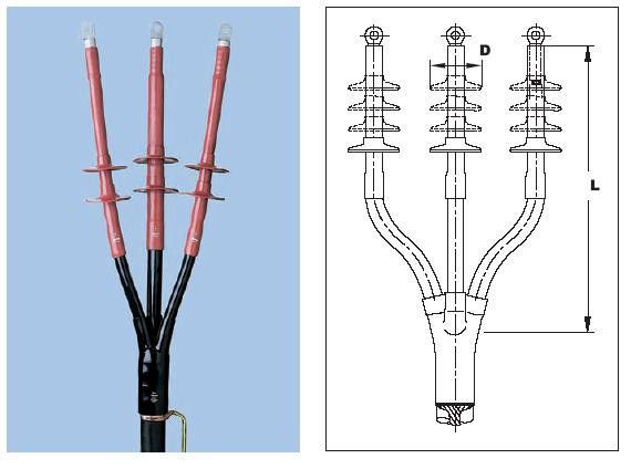 �������� �����