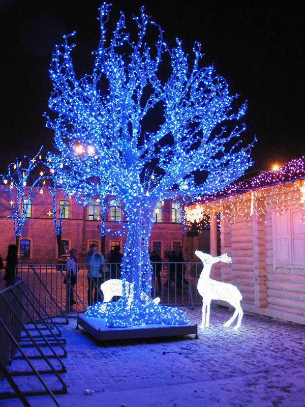 ������������ �������� 20�