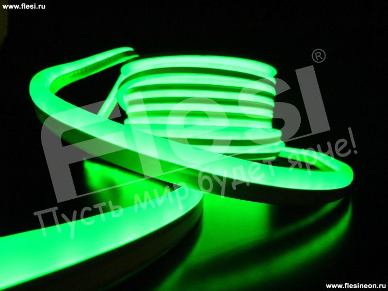 ������ ���� �������