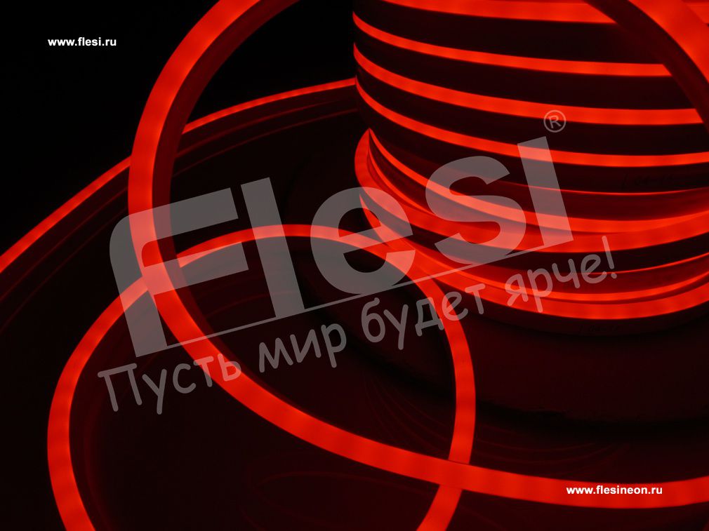 ������ ���� �������