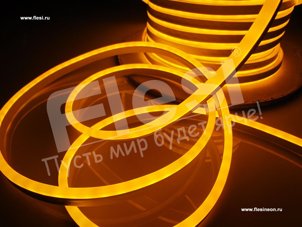 ������ ���� ������