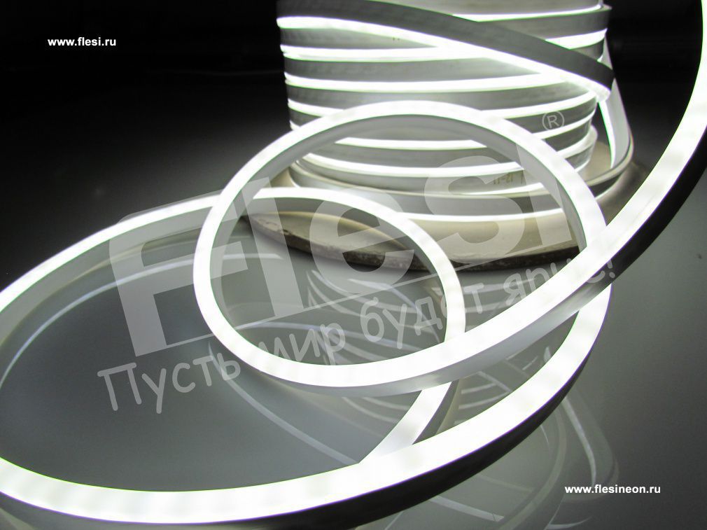 ���� �����