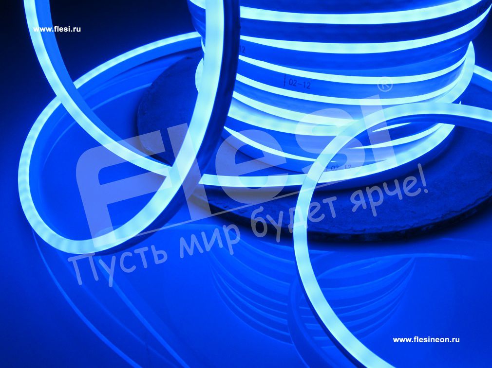 ���� �����