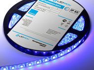 ������������ ����� SMD 5050, 300 Led, IP65, 24V, Standart �����