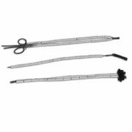 ��������������� ������������������ (��������������������, ���������) ���������������� ���(���,���)/1-0001