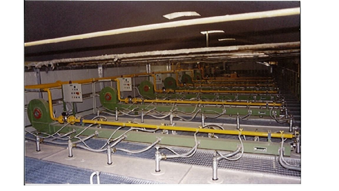 ���� �������� �������