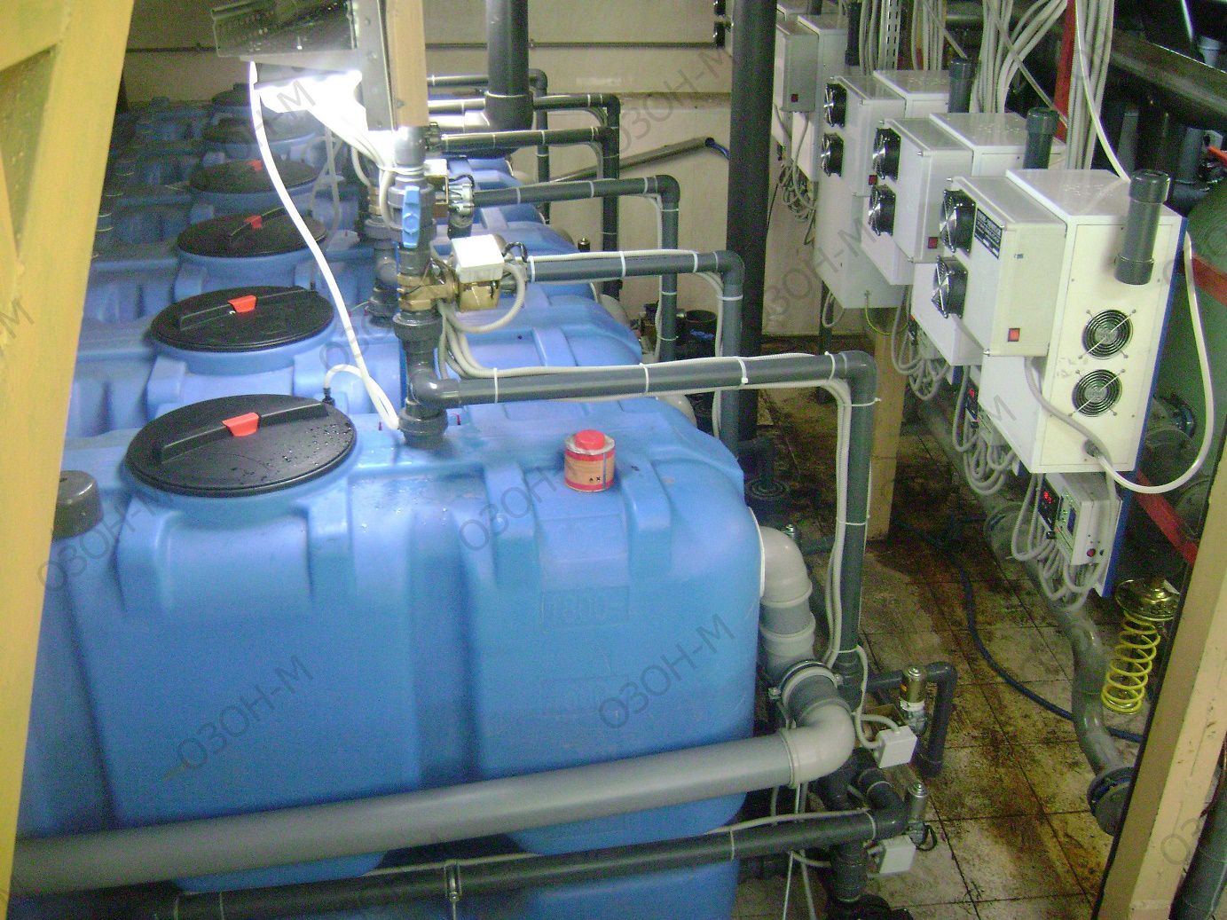 �������� ��������� ��� ��������