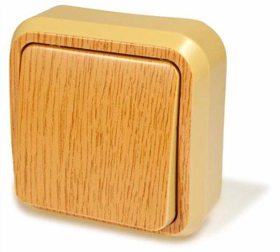 �����������-������������� �������� ��������� (����������), ���� ��� ������ ���