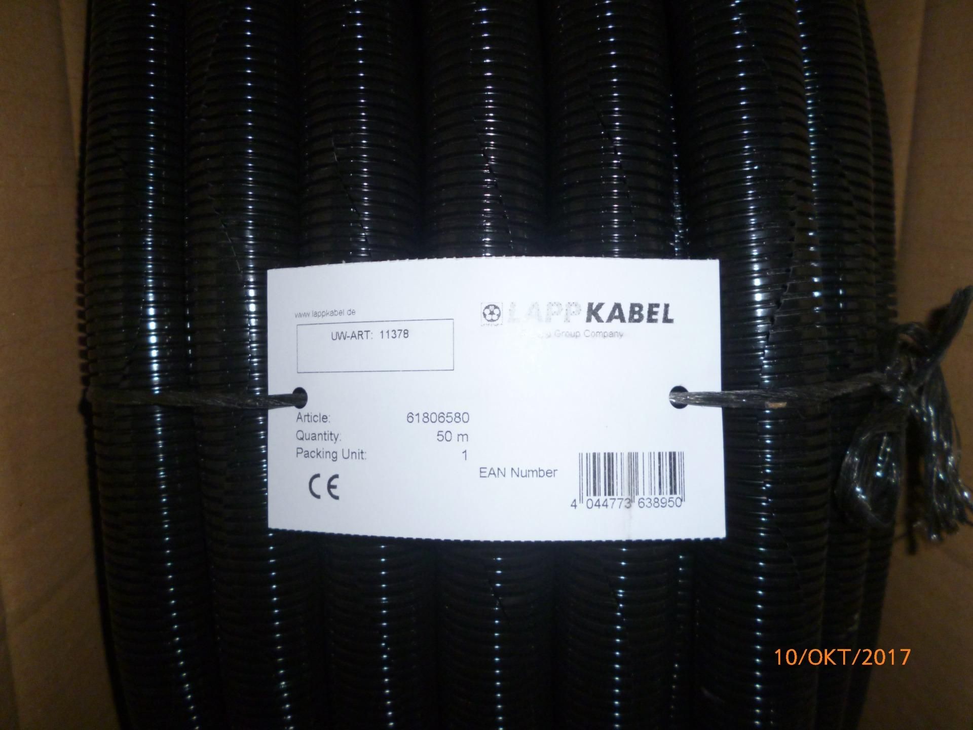 ����� ��������� ����������� UW-ART: 11378 