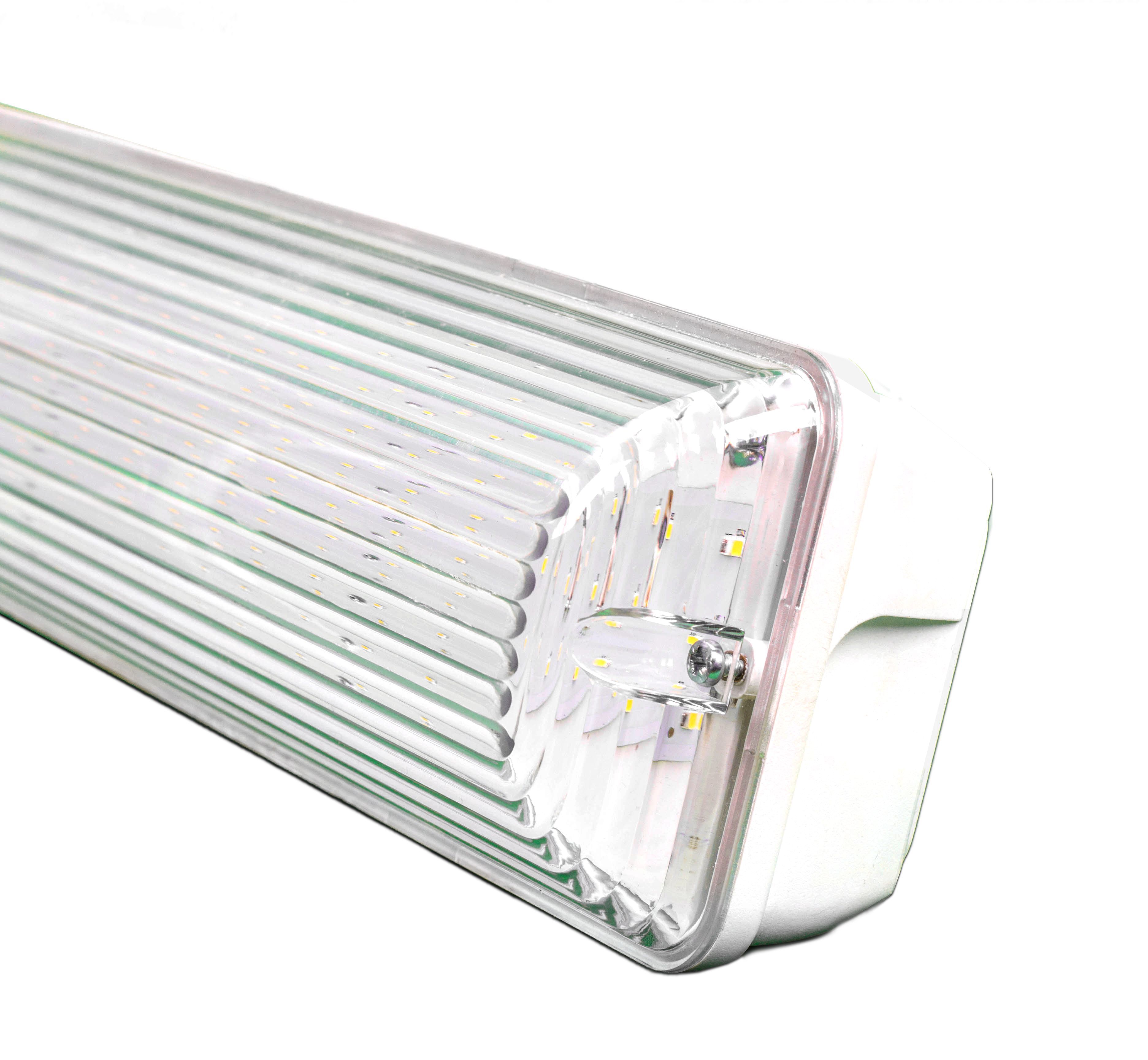 ���������� ������������ FAROS FL 105 20W IP65
