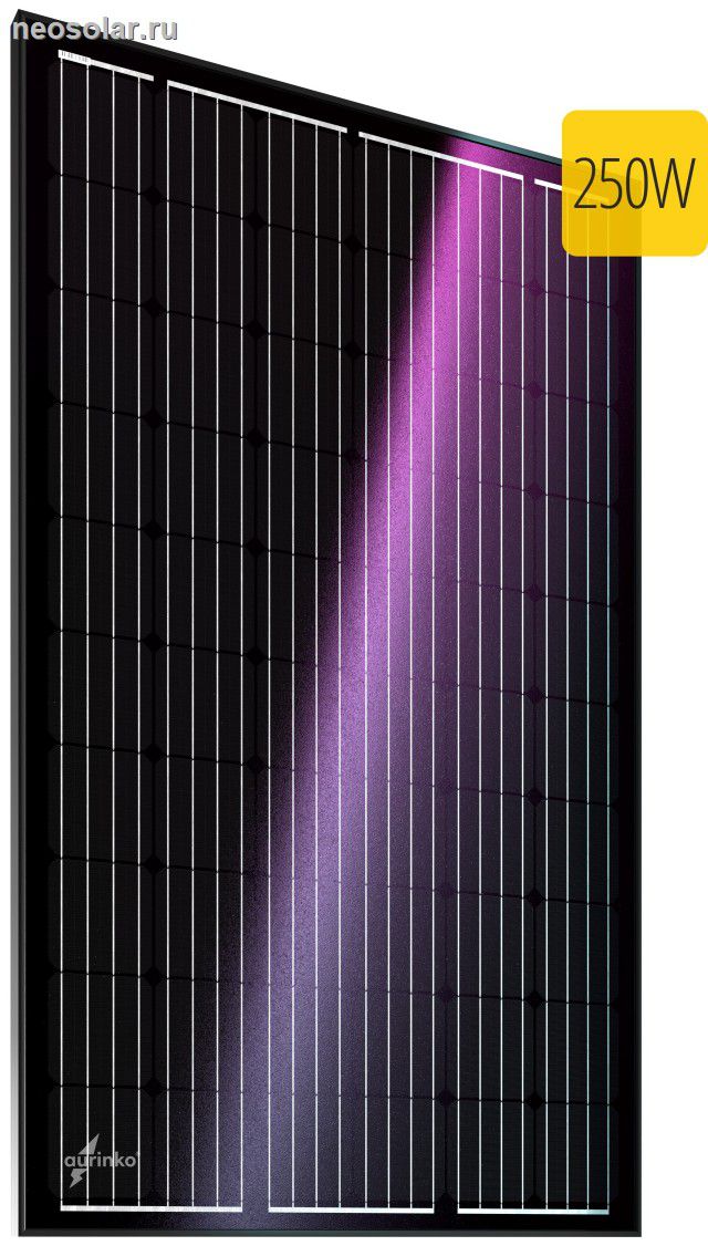 ��������� ������ Au-FSM-250M