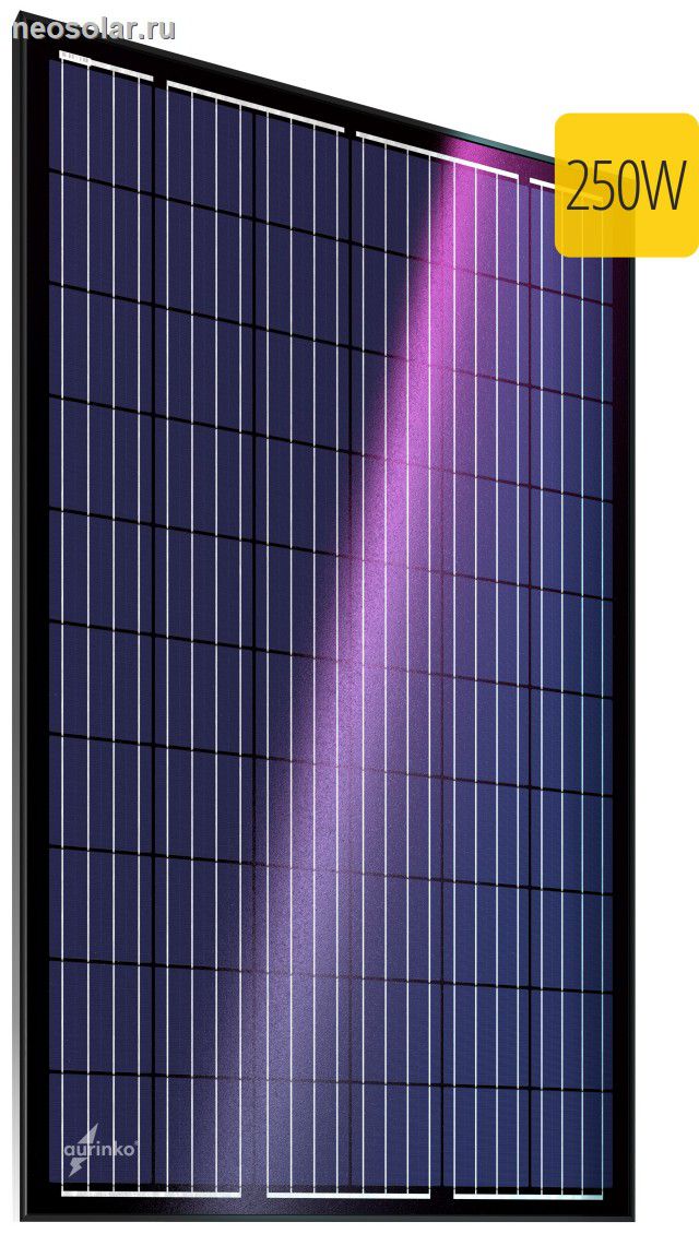 ��������� ������ Au-FSM-250P