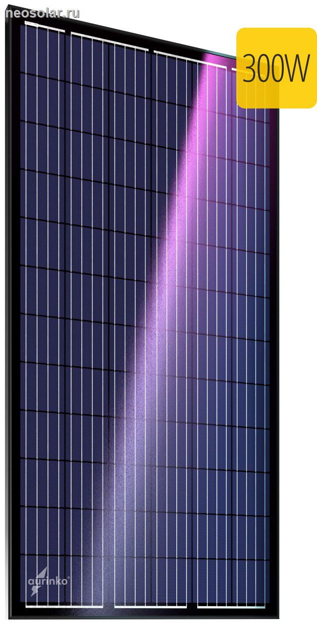 ��������� ������ Au-FSM-300P