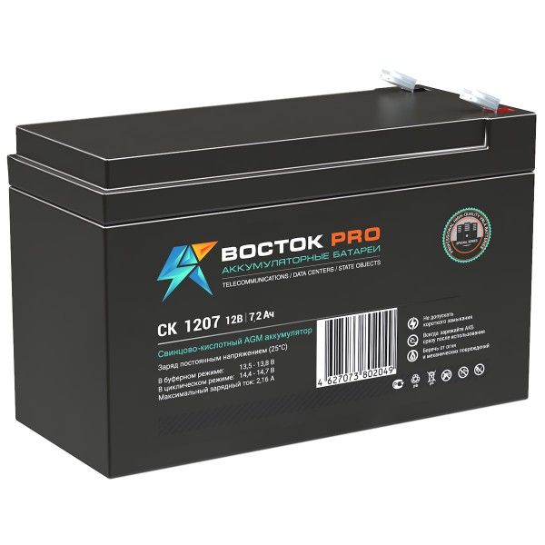  ������ ����������� ������ ��-1207