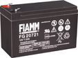    (ups) FIAMM FG 20722