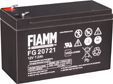 ����������� ��� ��� (ups) FIAMM FG 20722