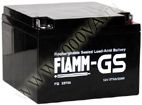 ����������� FIAMM FG 22703