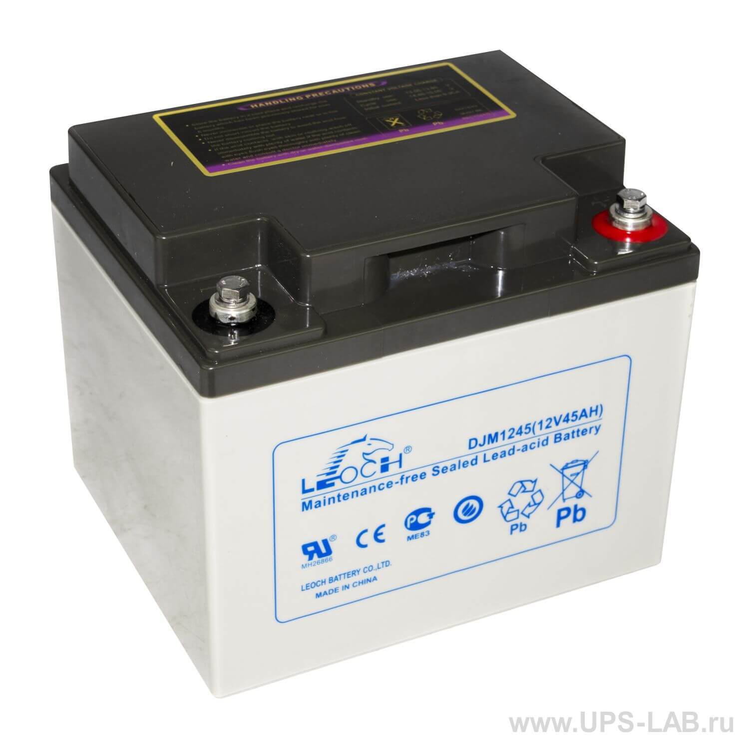  LEOCH ����������� LEOCH DJM1245 ( 12V 45Ah / 12� 45�� )