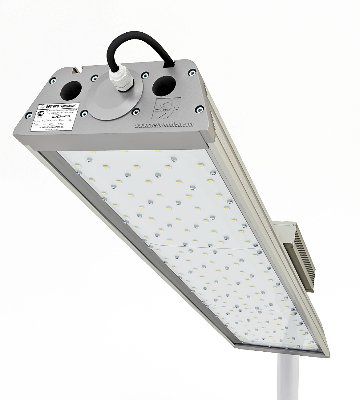 ������������ ������������ ���������� ���� 120 �