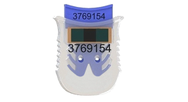 ������������� ������ ����