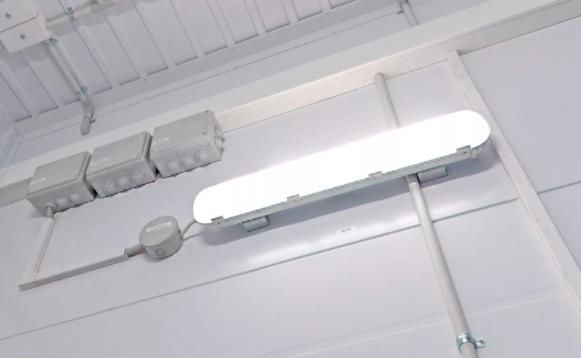 ������������ ������������ (LED) ����������� ����� Lightner (�������)