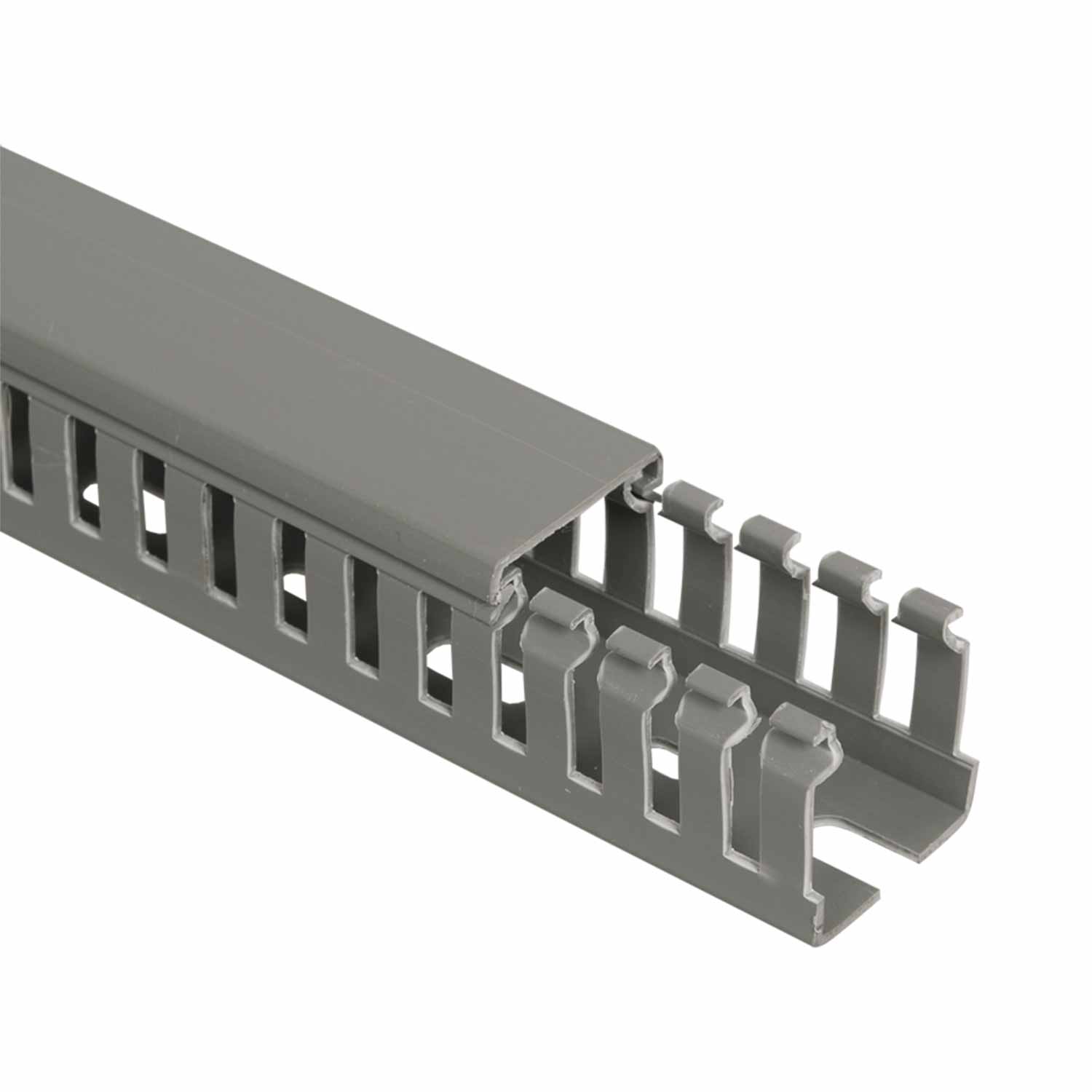 ������ ����� ��������������� 40�60 