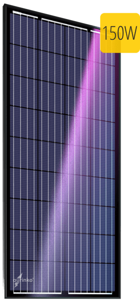 ������������������� ��������� ������ Au-FSM-150P