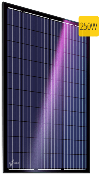 ������������������� ��������� ������ Au-FSM-250P