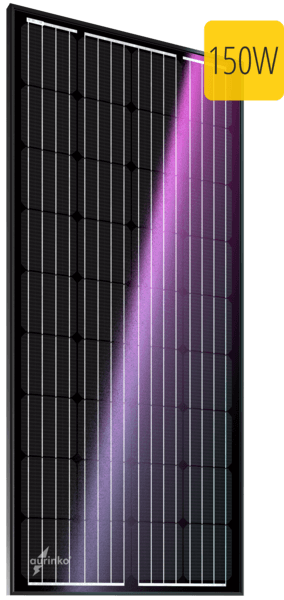 ������������������� ��������� ������ Au-FSM-150M