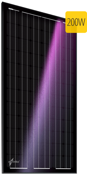 ������������������� ��������� ������ Au-FSM-200M