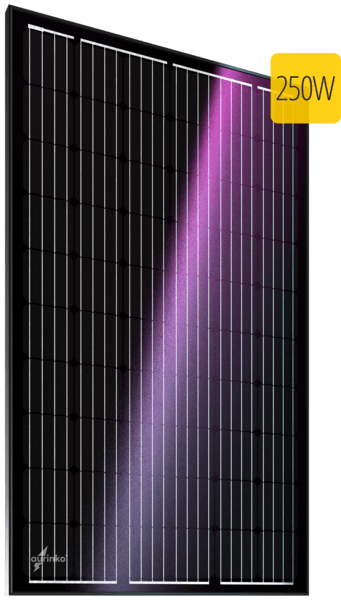 ������������������� ��������� ������ Au-FSM-250M