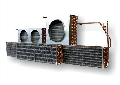 ������������ � ����������