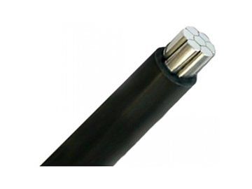 ������ ��� 1�50