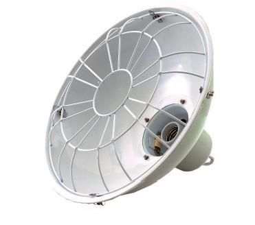 ��-814 ���������� ��������� �������� ���������  (������)